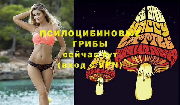 метамфетамин Касимов
