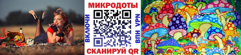 Купить  Солнечногорск  Псилоцибиновые грибы Magic Shrooms 