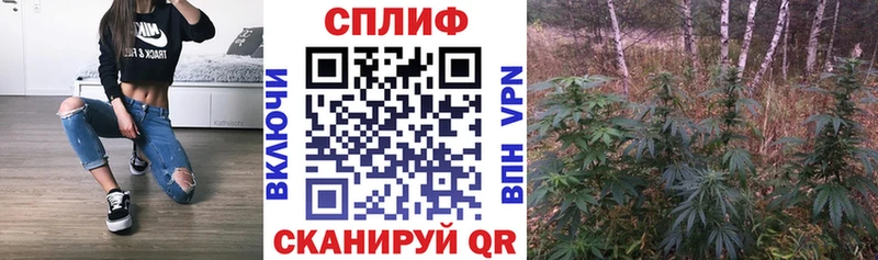 Бошки Шишки сатива Солнечногорск